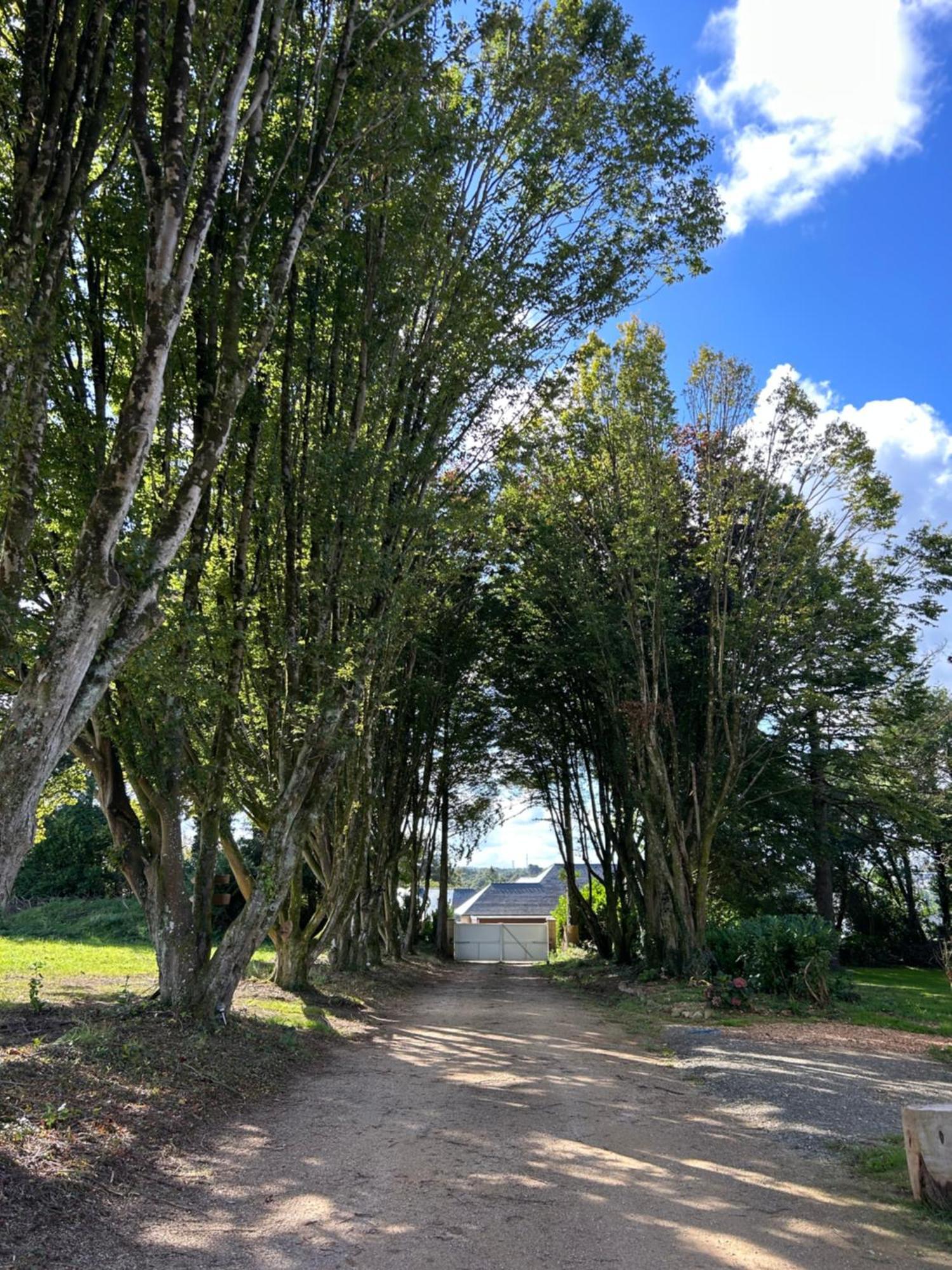 Reve De Clarte Bed & Breakfast Plouigneau Bagian luar foto